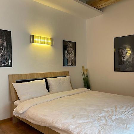 Savoya4 Old City Center Self Checkin Workspacestudio Τιμισοάρα Εξωτερικό φωτογραφία