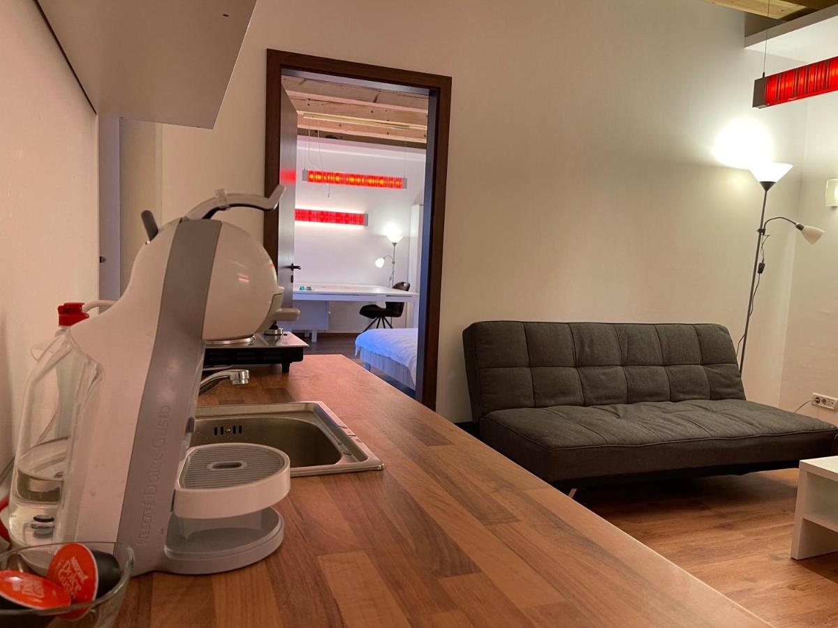 Savoya4 Old City Center Self Checkin Workspacestudio Τιμισοάρα Εξωτερικό φωτογραφία