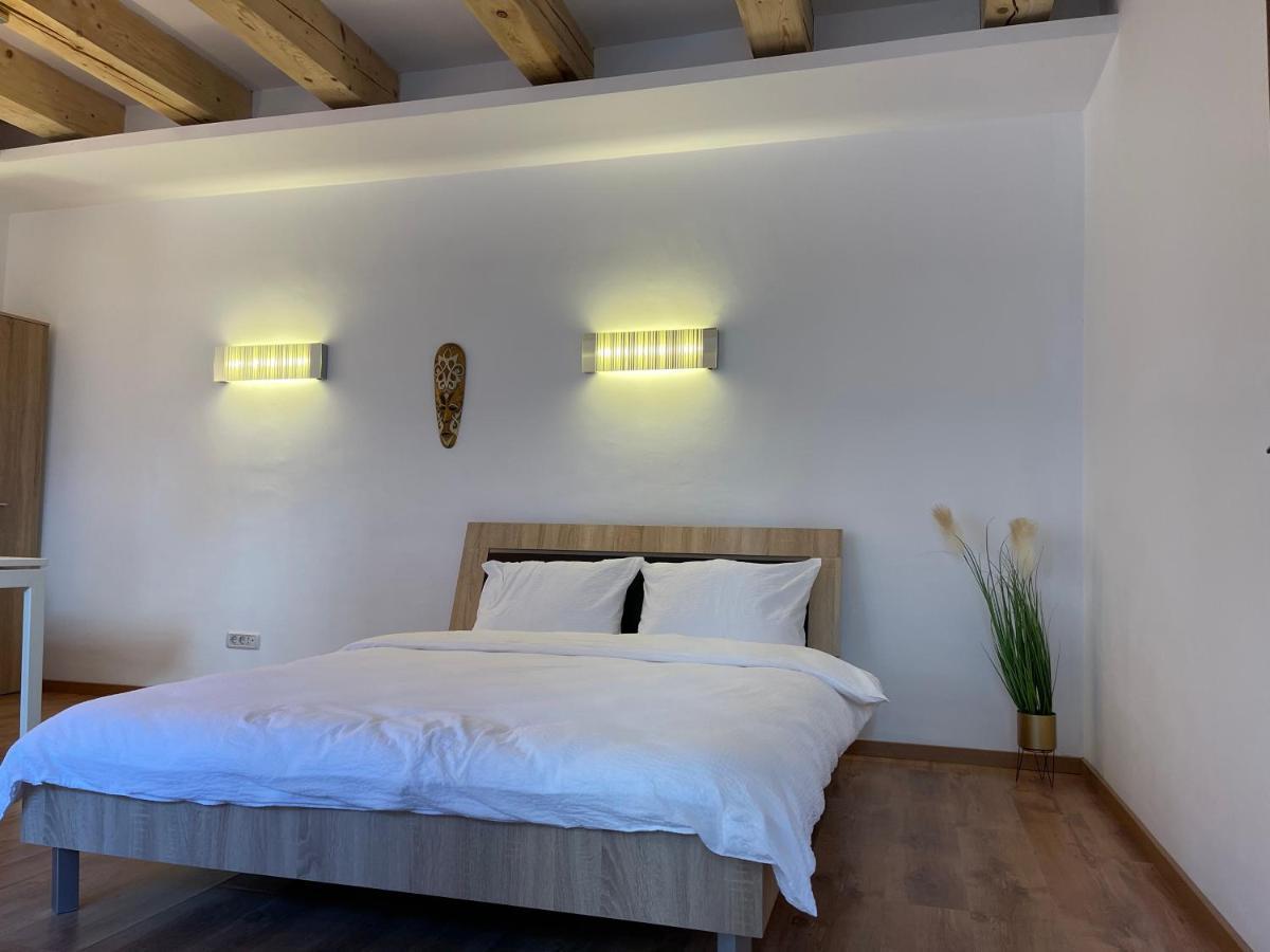 Savoya4 Old City Center Self Checkin Workspacestudio Τιμισοάρα Εξωτερικό φωτογραφία