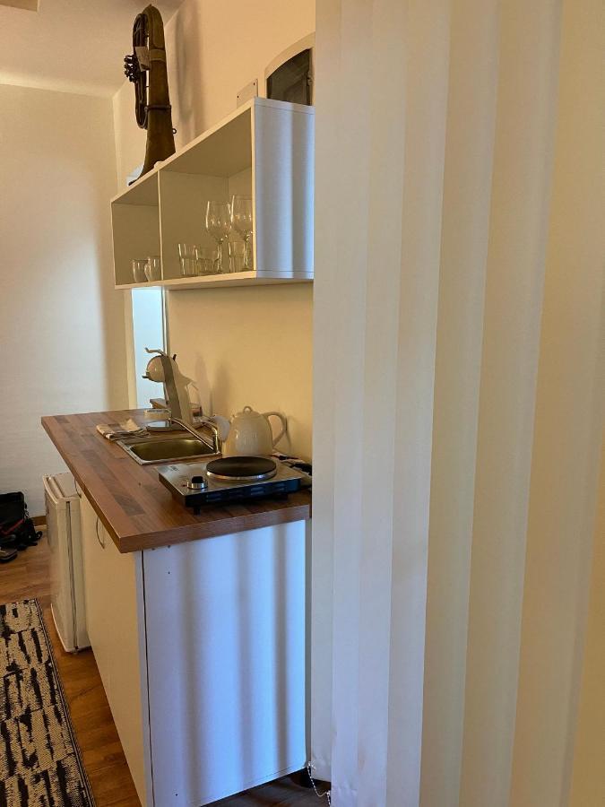 Savoya4 Old City Center Self Checkin Workspacestudio Τιμισοάρα Εξωτερικό φωτογραφία