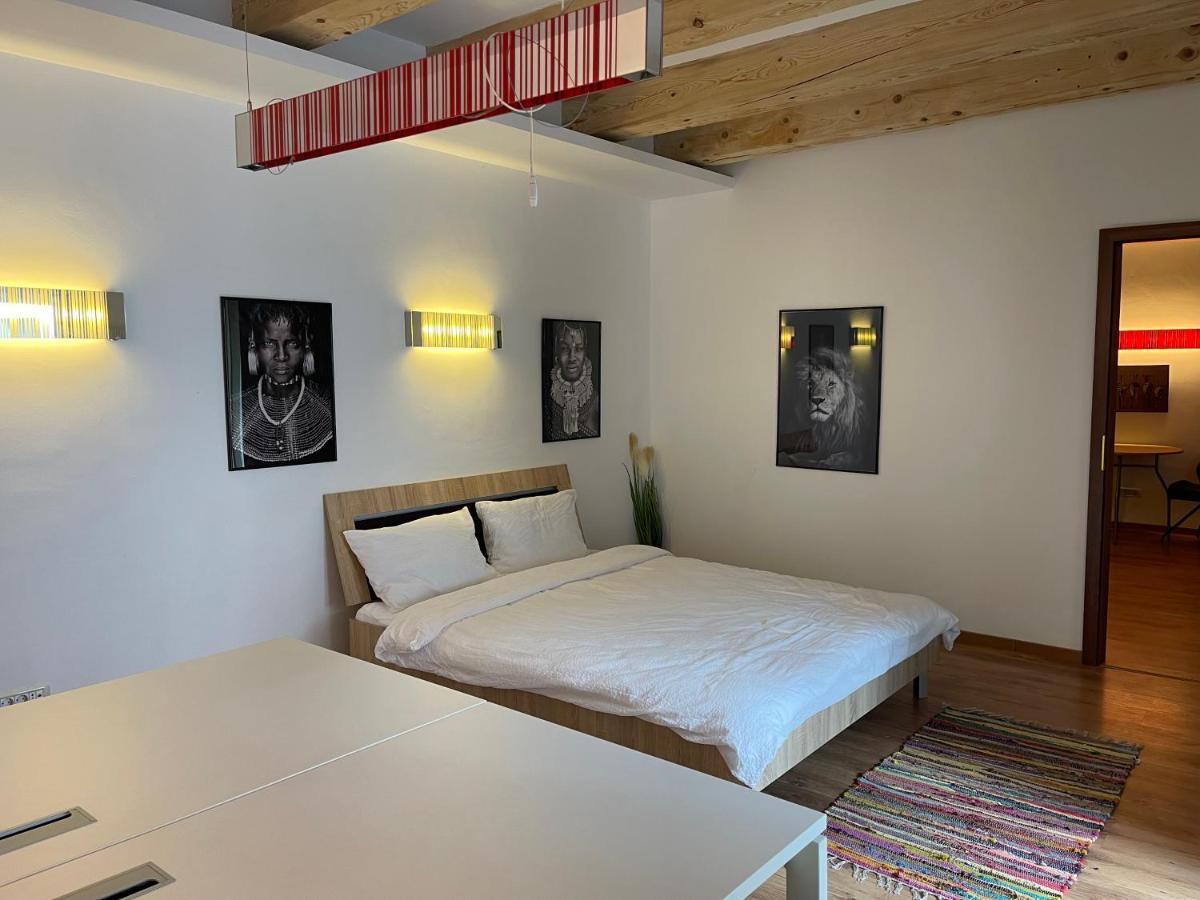 Savoya4 Old City Center Self Checkin Workspacestudio Τιμισοάρα Εξωτερικό φωτογραφία